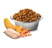 Farmina N&D cat OCEAN PUMPKIN (GF) kitten, cod, shrimp & cantaloupe melon 1,5 kg