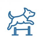 Agility
