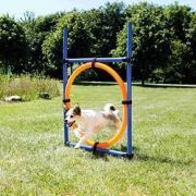 Agility