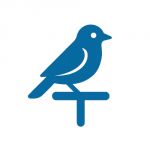 Búdky, hniezda, bidielka Búdky, hniezda, bidielka