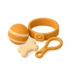 Výcvik & šport Výcvik & šport