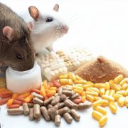 Podporné prostriedky, vitamíny a vitamínové pochúťky