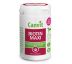 Canvit Biotin Maxi pre psy 166 tbl. 500 g