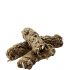 Versele Laga Complete Cuni Sensitive 1,75 kg