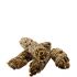 Versele Laga Complete Chinchilla & Degu 500 g