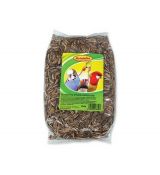 Avicentra Slnečnica žíhaná veľkozrnná 500 g