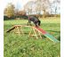 Trixie Dog Activity AGILITY Nácviková lávka 456x64x30 cm