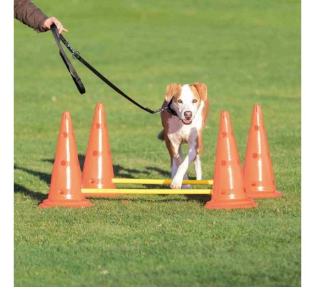 Trixie Dog Activity prekážky (2 ks) 30x50 cm / 100 cm oranž / žltá