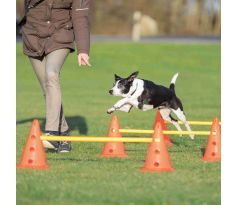 Trixie Dog Activity prekážky (3 ks) 23 x 30 cm / 78 cm oranž / žltá