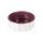 Trixie Keramická miska 0,3 l/12 cm biela s motívom rastlín/berry