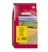 VL Canaryseed White- Lesknica kanárska 1 kg