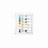 Farby temperové JUNIOR Ocean World 12 ml - sada 6 ks